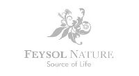 Logo Feysol Nature