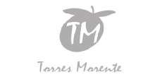 Logo Torres Morente
