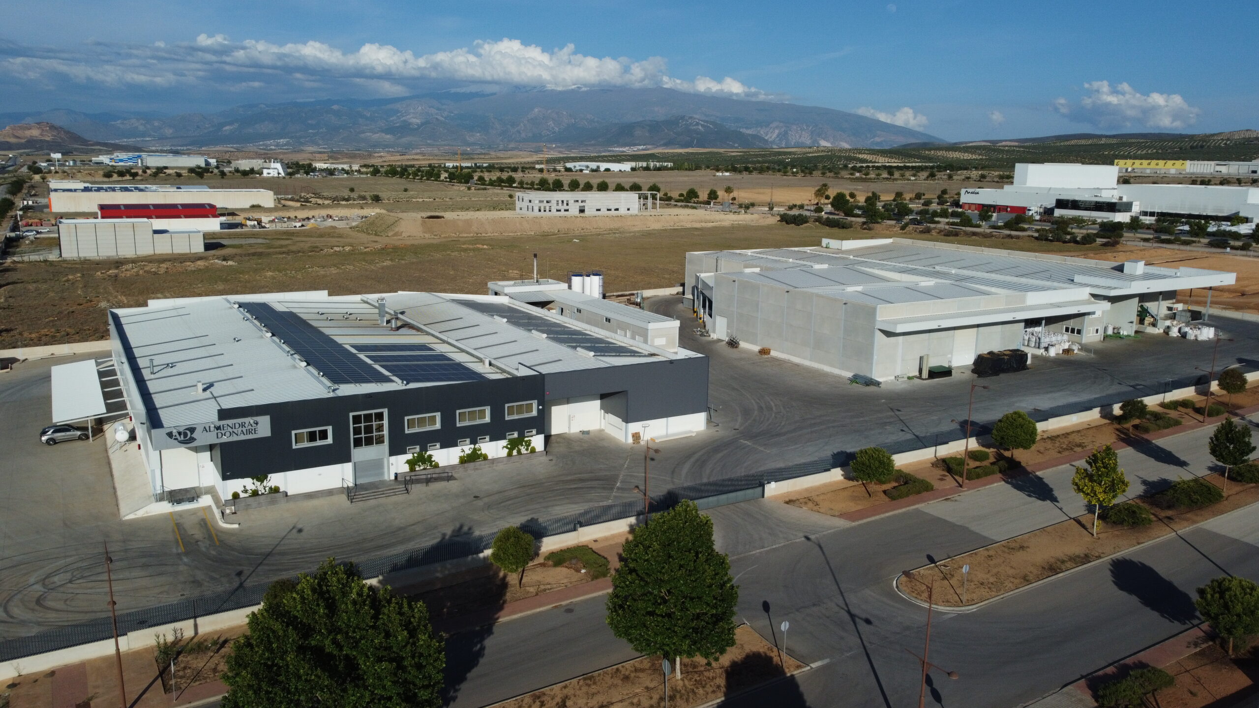 Almendras Donaire 2025