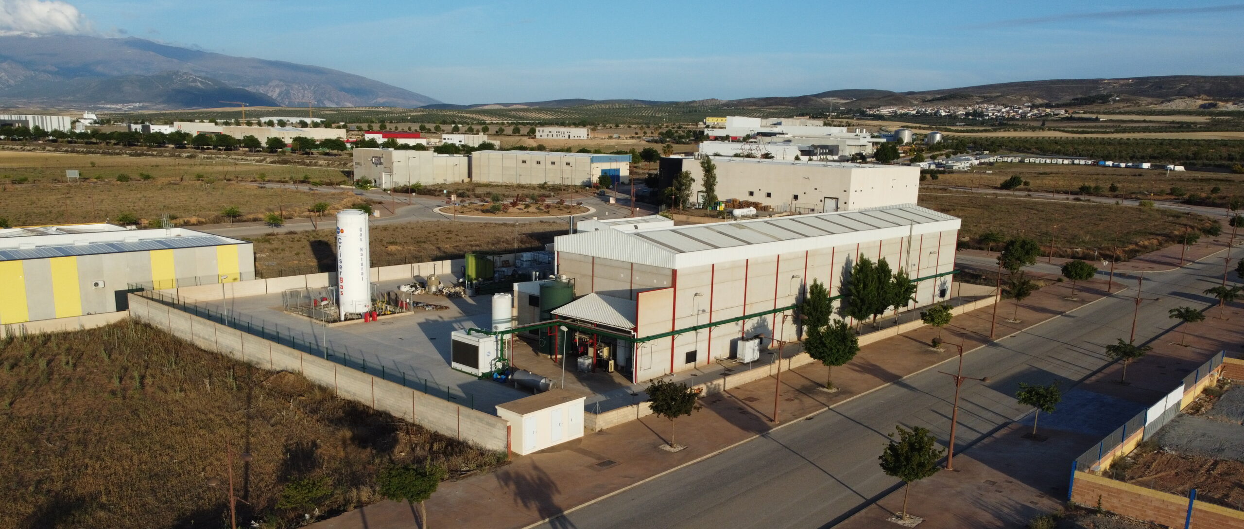 Extractos Derivados 2025